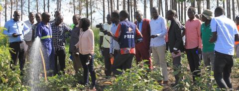 field visit to a demonstration farm under ugift micro scale irrigation 